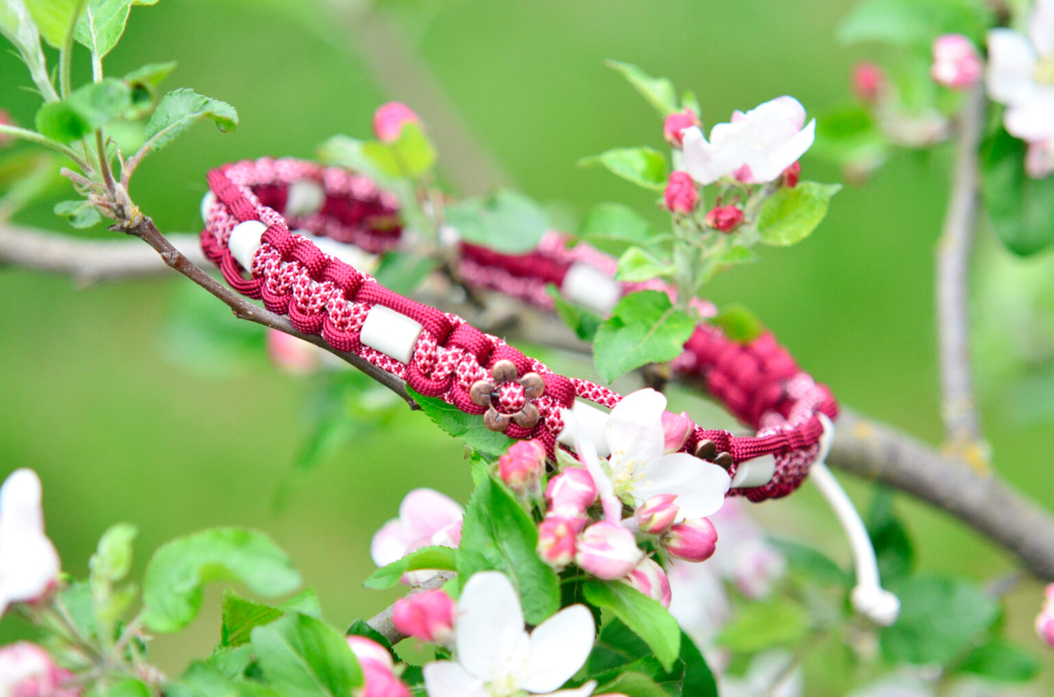 Neben den Keramikperlen trägt die hübsche Bella auch kupferfarbene Blumen an ihrem Zeckenhalsband.