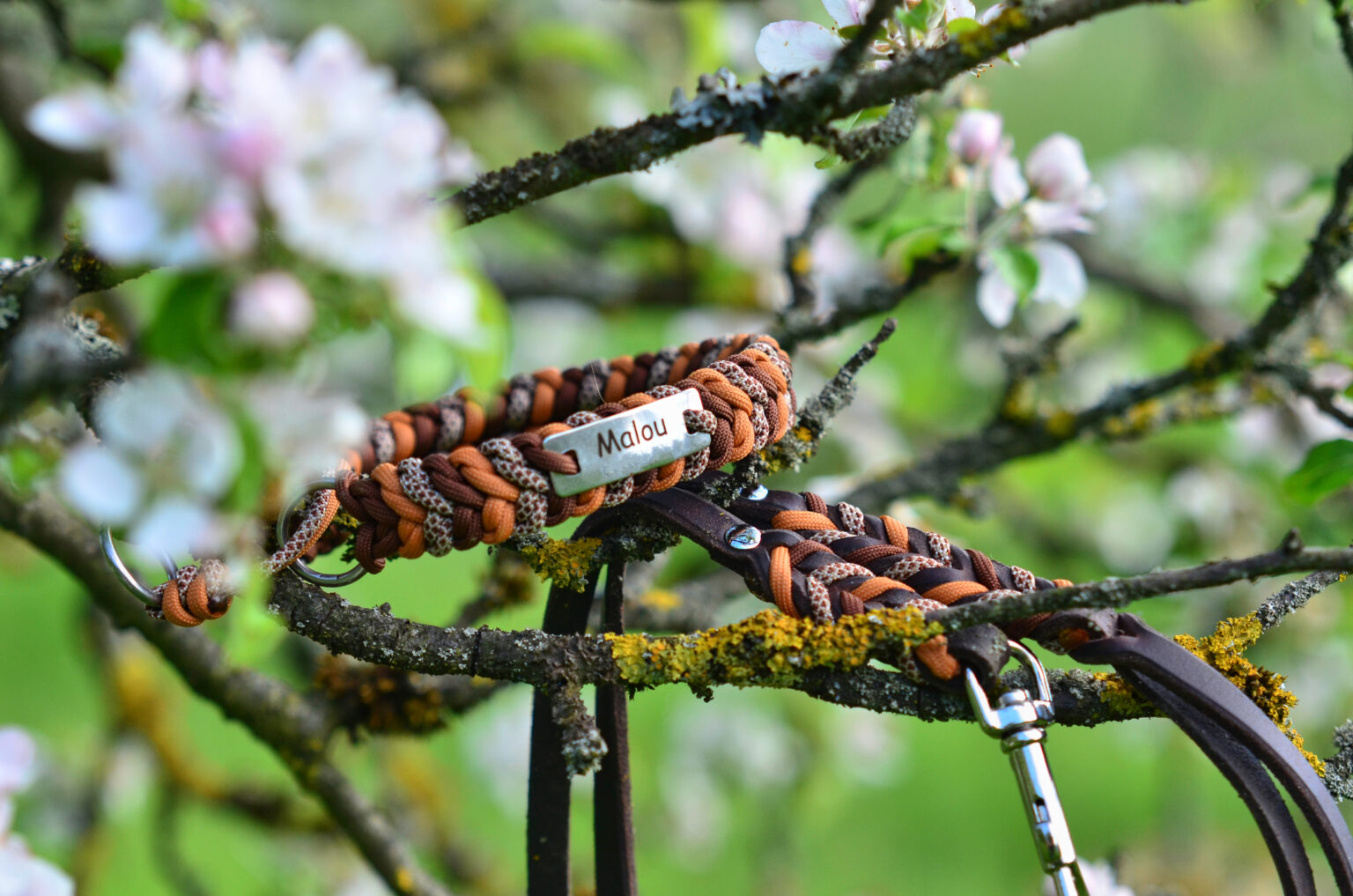 Der kleinen Malou haben ihre Besitzer einen Ringelwurm in Brauntönen spendiert.