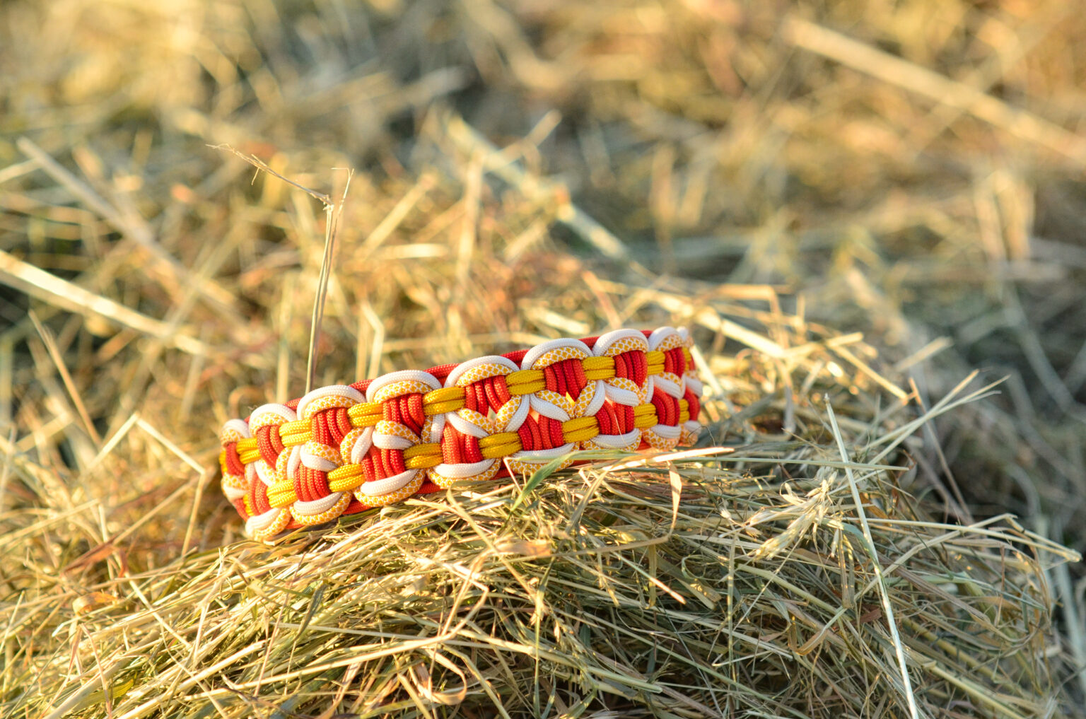 Sonnig und warm wie der Sonnenuntergang präsentiert sich diese Spielwiese.