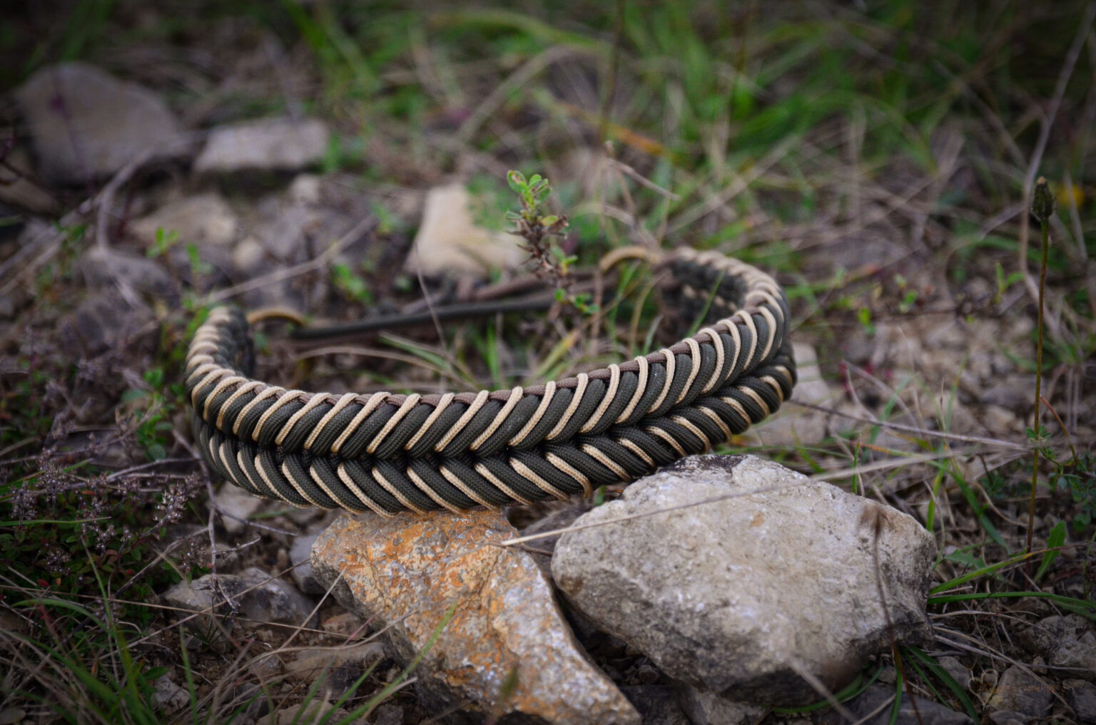 Dinaris Gipfelstürmer in Olivgrün mit goldenem Begleitfaden.