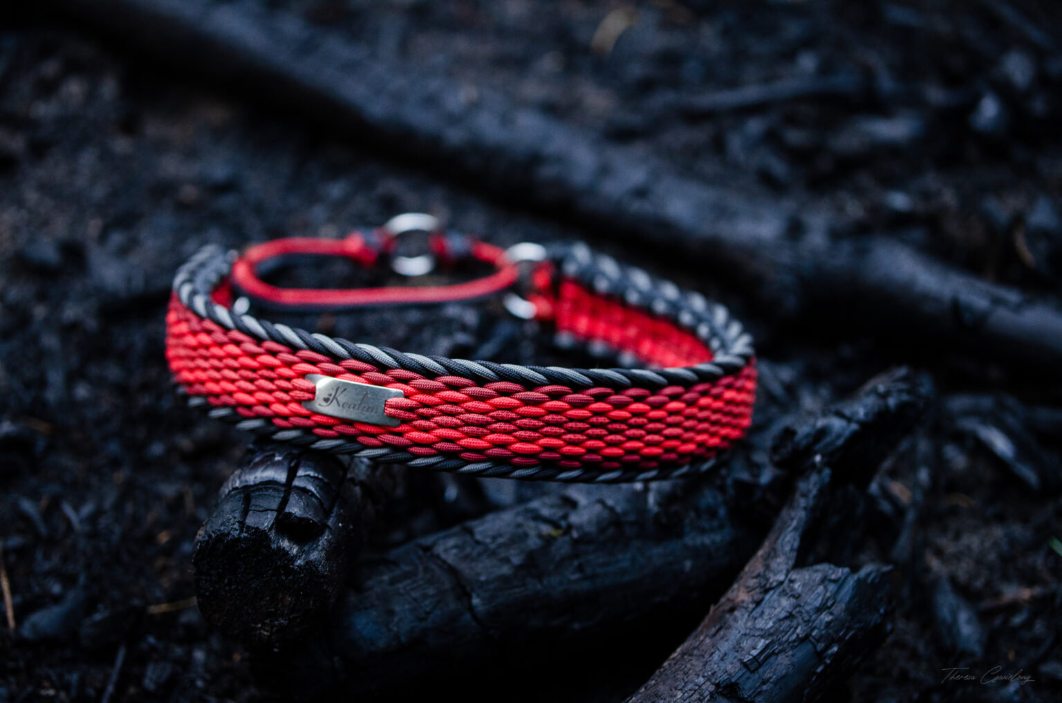 Kealen ist ein Wolfshund und verträgt ein extrabreites Halsband.